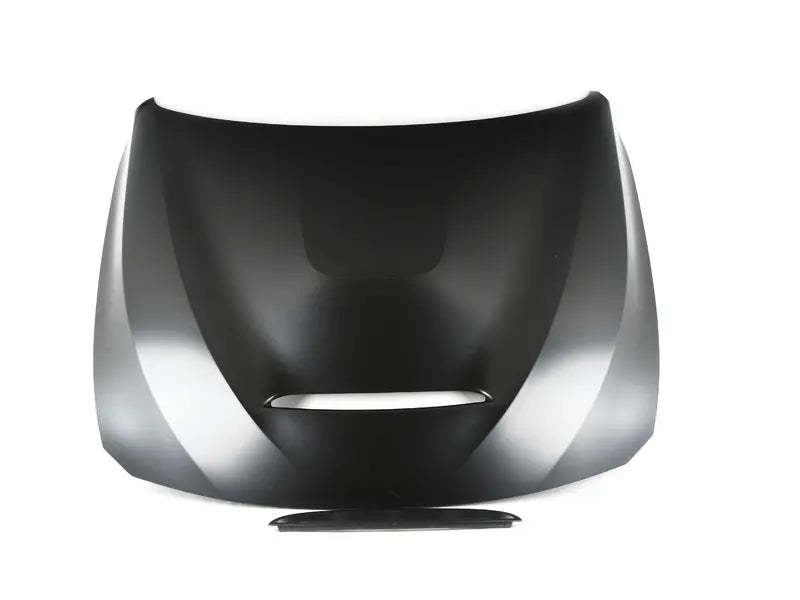 Aluminum GTS Style Hood