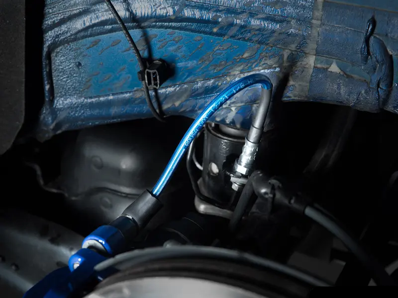 Rear Exact-Fit Stainless Steel Brake Lines - Blue