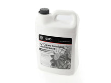 Genuine Volkswagen Audi G12evo Coolant / Antifreeze - 1 Gallon (3.78 Liters)